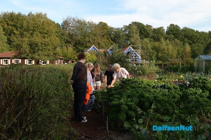 De jaarlijkse Roefeldag: een geweldig succes! - Foto: Johan Bokma
