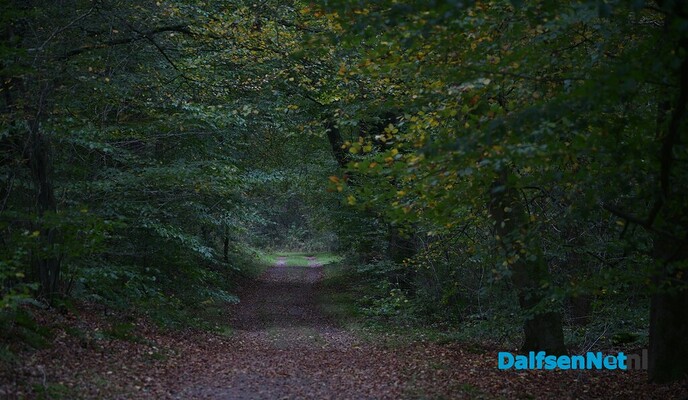Als de herfst zijn intrede doet - Foto: Johan Bokma