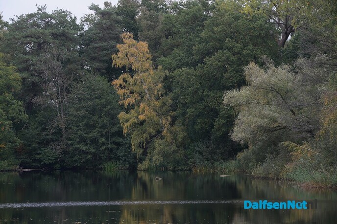 Als de herfst zijn intrede doet - Foto: Johan Bokma