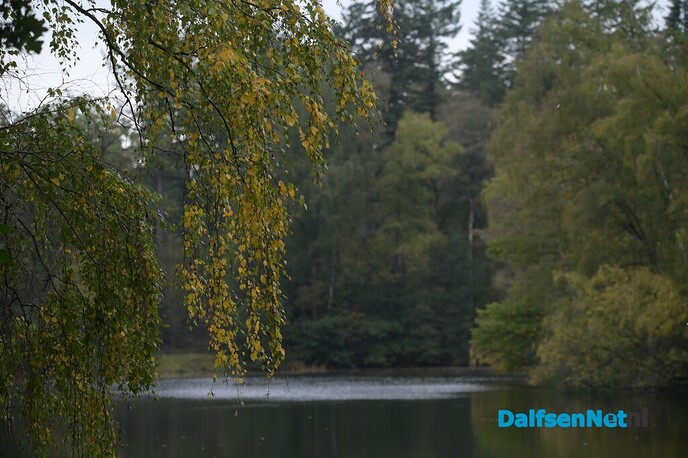 Als de herfst zijn intrede doet