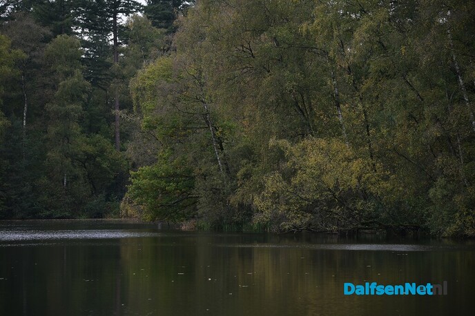 Als de herfst zijn intrede doet - Foto: Johan Bokma