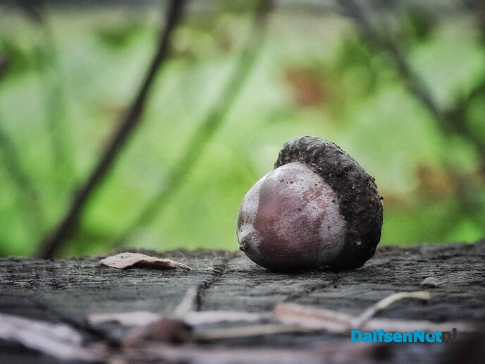 De herfst is echt bezig