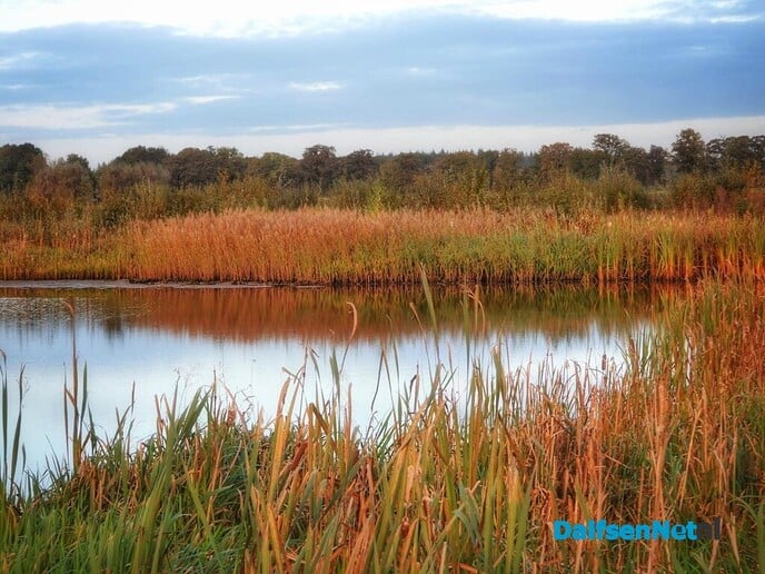 Prachtige natuurplaatjes uit Nieuwleusen - Foto: Femmie Smink