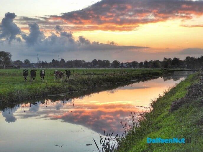 Prachtige natuurplaatjes uit Nieuwleusen - Foto: Femmie Smink