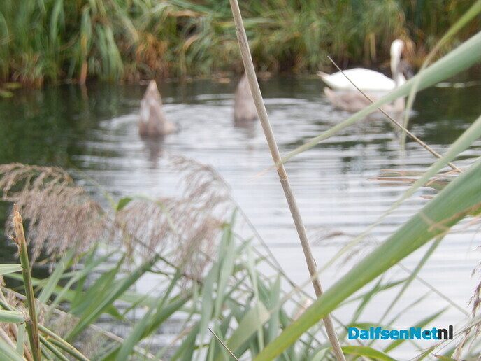 Even naar de uiterste hoek van de gemeentegrens - Foto: Willy