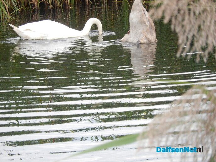 Even naar de uiterste hoek van de gemeentegrens - Foto: Willy