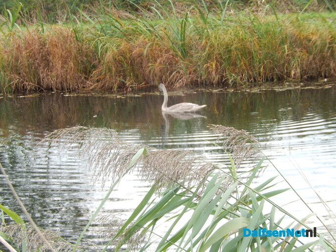 Even naar de uiterste hoek van de gemeentegrens - Foto: Willy