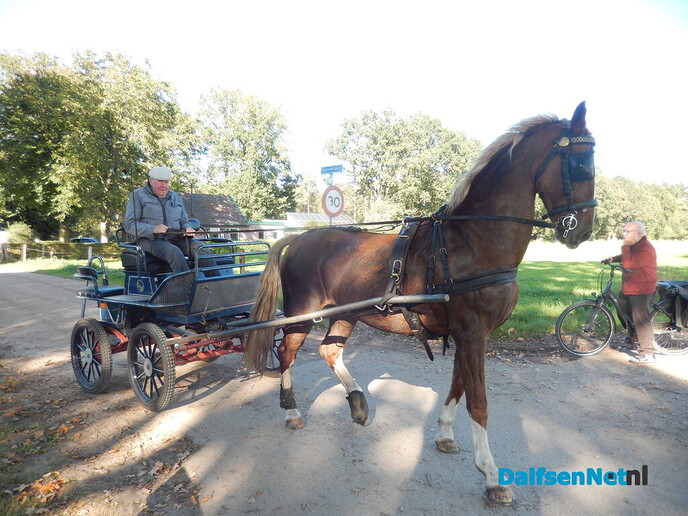 Anton Viskaal heeft weer een paard: ‘Hij kon echt niet zonder’ - Foto: Willy
