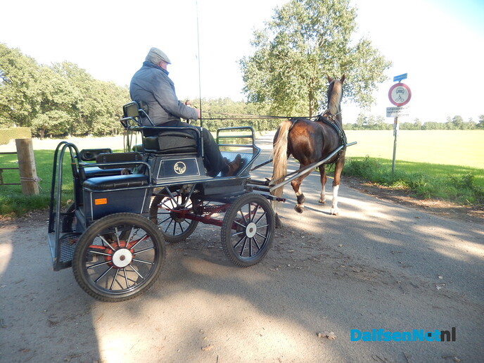 Anton Viskaal heeft weer een paard: ‘Hij kon echt niet zonder’ - Foto: Willy