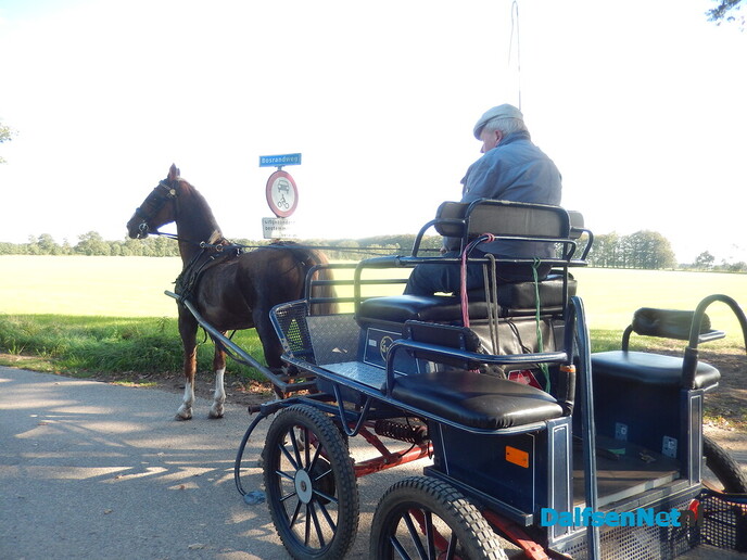 Anton Viskaal heeft weer een paard: ‘Hij kon echt niet zonder’ - Foto: Willy