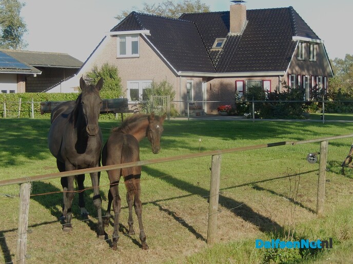 Historische boerderijen aan de Hagenweg - Foto: Willy