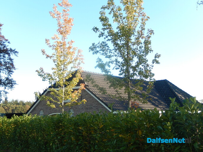 Historische boerderijen aan de Hagenweg - Foto: Willy