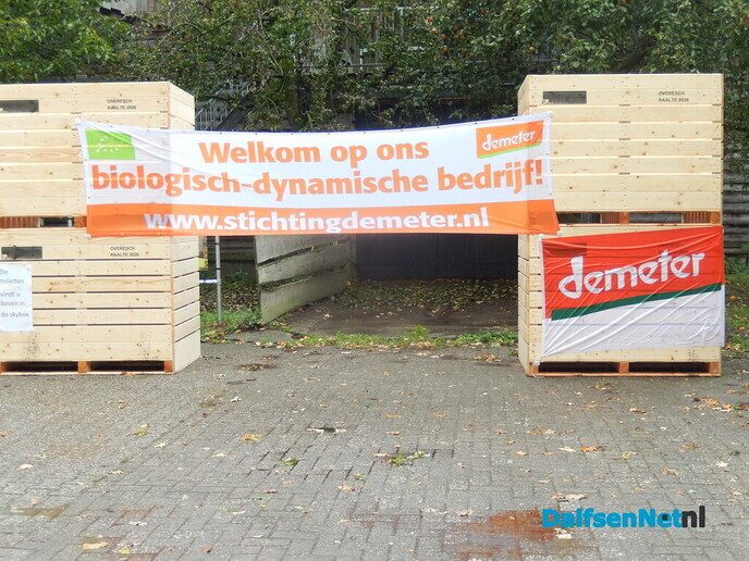 Pompoenenactie bij Overesch loopt als een speer - Foto: Willy