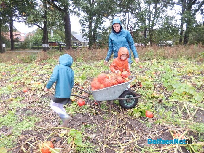 Pompoenenactie bij Overesch loopt als een speer - Foto: Willy