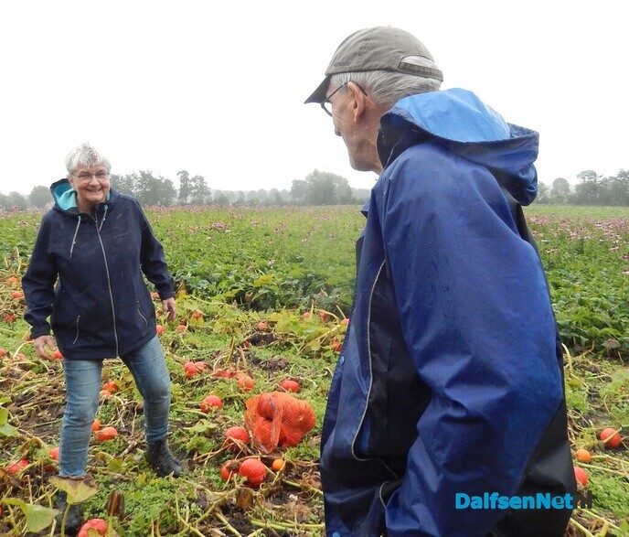 Pompoenenactie bij Overesch loopt als een speer - Foto: Willy