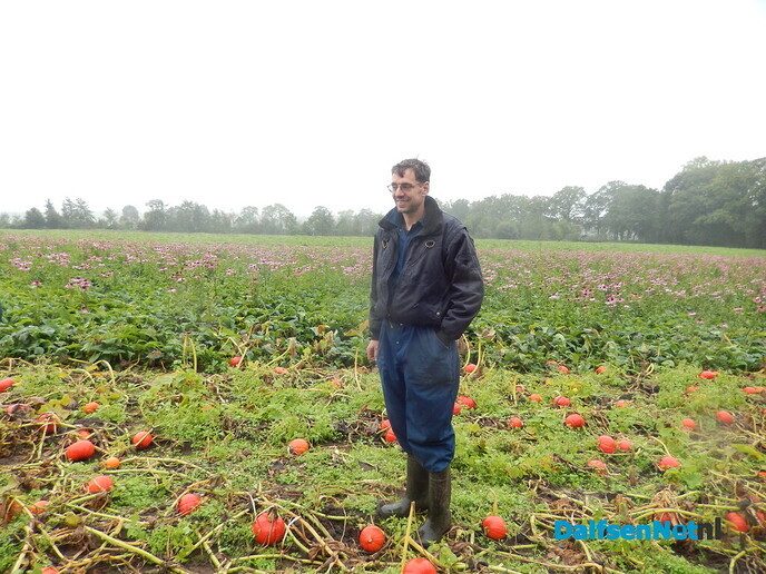 Pompoenenactie bij Overesch loopt als een speer - Foto: Willy