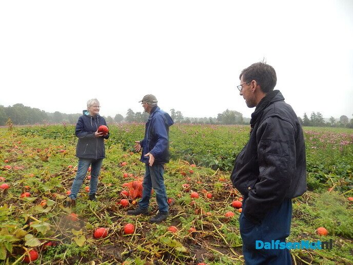 Pompoenenactie bij Overesch loopt als een speer - Foto: Willy