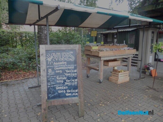Pompoenenactie bij Overesch loopt als een speer - Foto: Willy