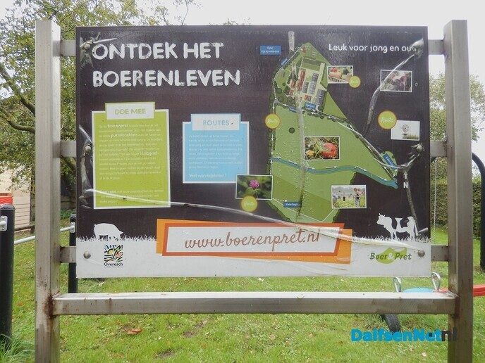Pompoenenactie bij Overesch loopt als een speer - Foto: Willy