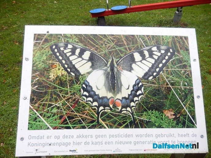 Pompoenenactie bij Overesch loopt als een speer - Foto: Willy