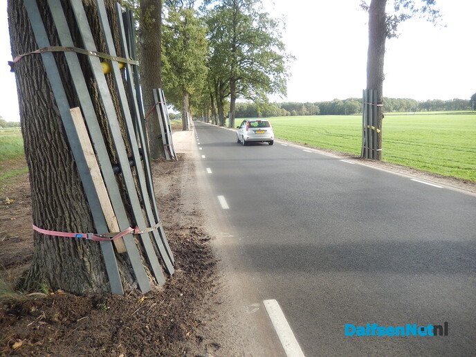 Rechterensedijk lijkt weer in gebruik - Foto: Willy