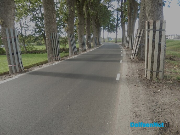 Rechterensedijk lijkt weer in gebruik - Foto: Willy