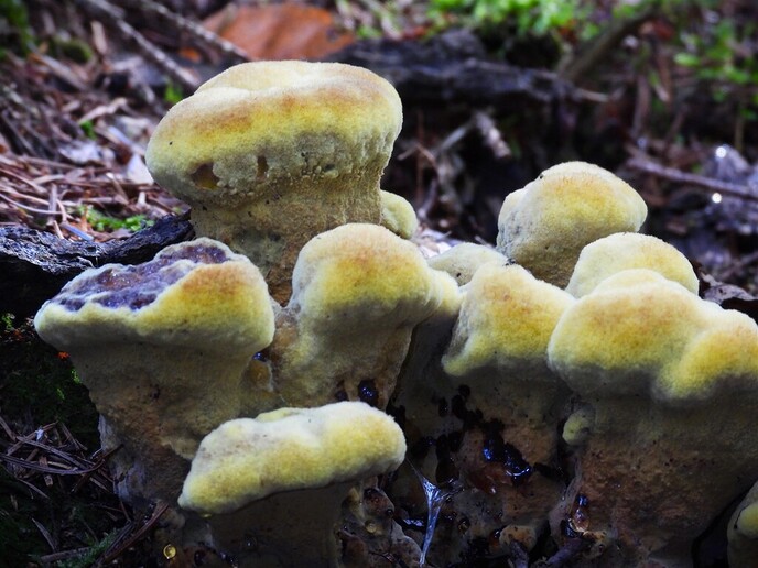 Zomaar wat herfstplaatjes - Foto: Ingezonden foto