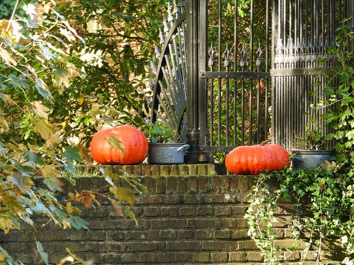 Weer nieuw beelden van de herfstsfeer