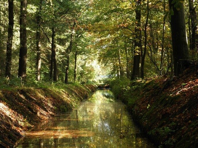 Herfstfoto’s - Foto: Ingezonden foto