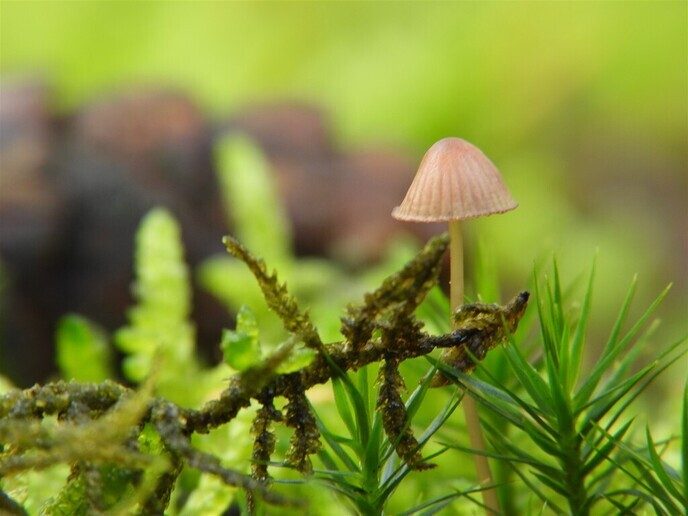 Herfstfoto’s - Foto: Ingezonden foto