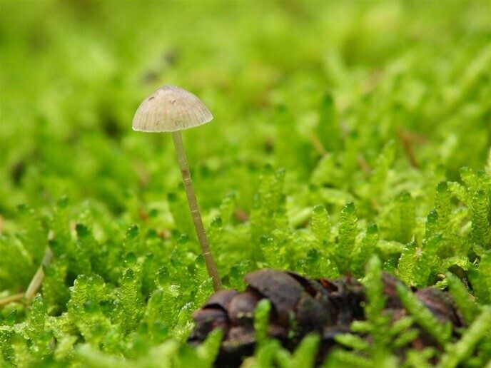Herfstfoto’s - Foto: Ingezonden foto