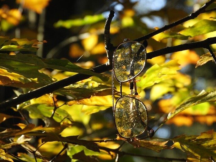 Herfstfoto’s - Foto: Ingezonden foto