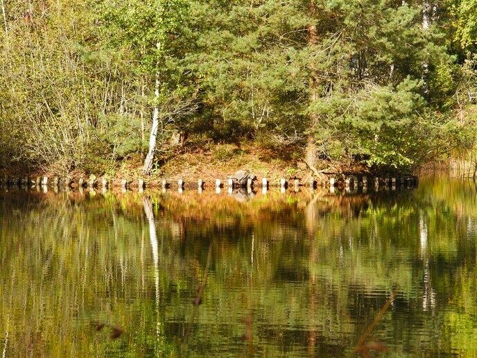 Herfstfoto’s - Foto: Ingezonden foto