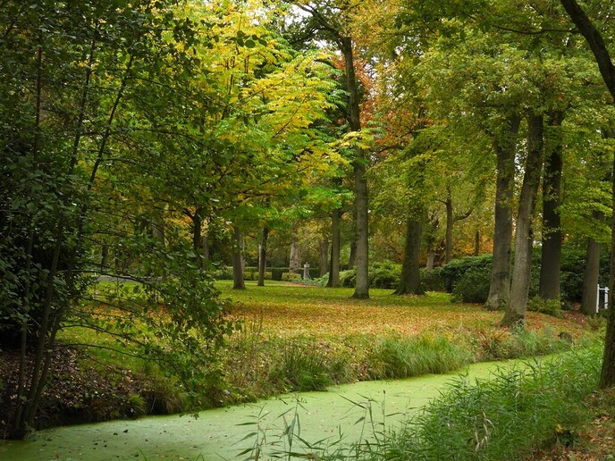 Weer nieuwe beelden van de herfstsfeer - Foto: Ingezonden foto