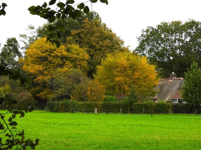 Weer nieuwe beelden van de herfstsfeer - Foto: Ingezonden foto