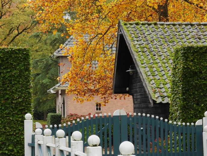 Weer nieuwe beelden van de herfstsfeer - Foto: Ingezonden foto
