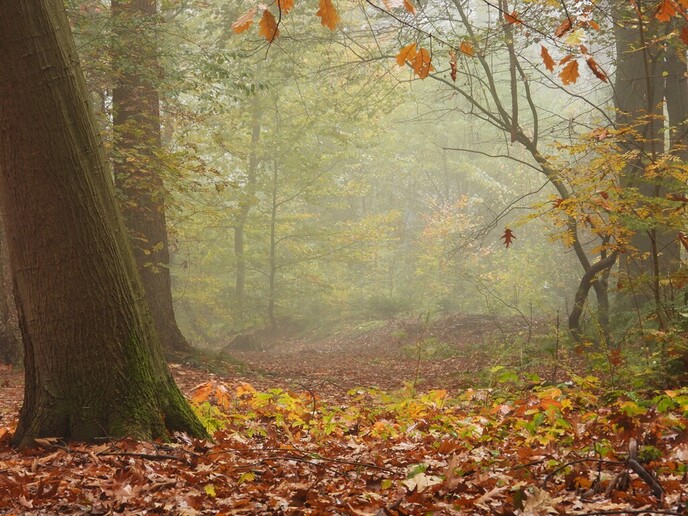 Mist sferen - Foto: Ingezonden foto