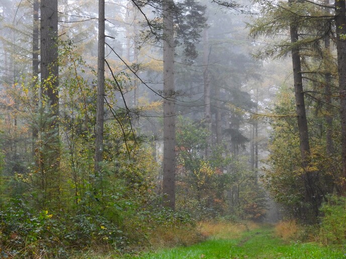 Mist sferen - Foto: Ingezonden foto