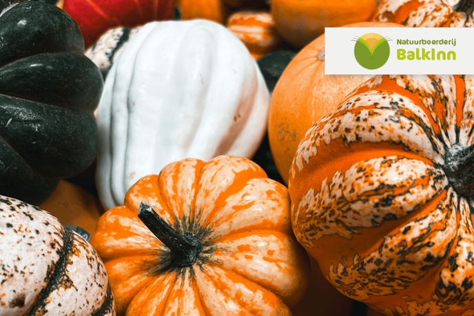 Herfstmarkt bij BalkInn steunt natuurboerderij - Foto: Ingezonden foto
