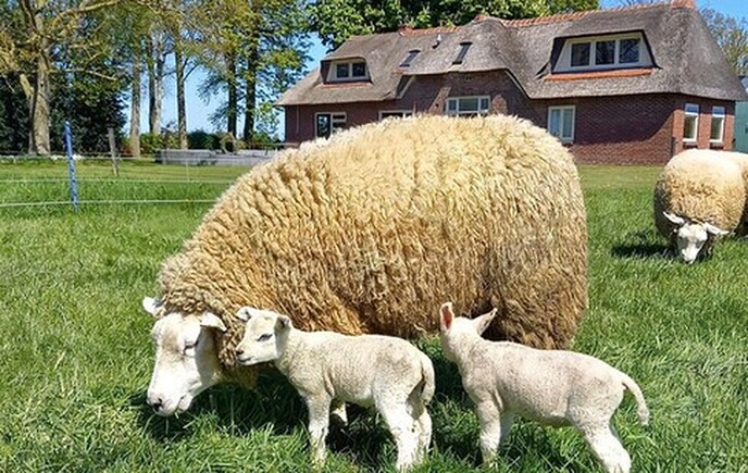 Er is een nieuw overlijdensbericht - Foto: Ingezonden foto