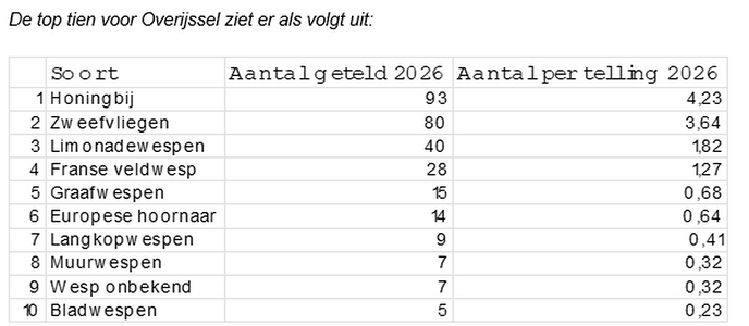 Uitslag wespentelling Overijssel