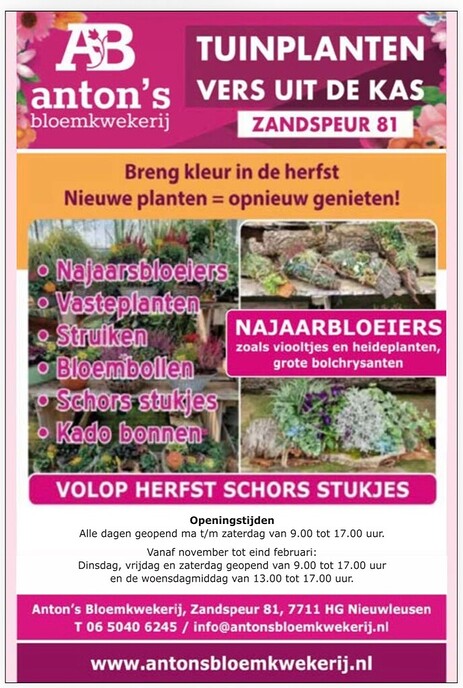 Anton’s Bloemkwekerij: Breng kleur in de herfst
