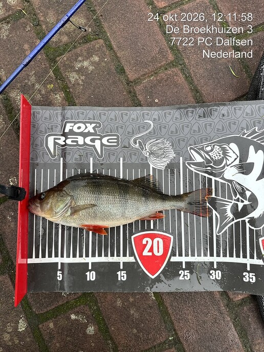 Tim Riezebos wint derde Dalfser Black River Roofviswedstrijd