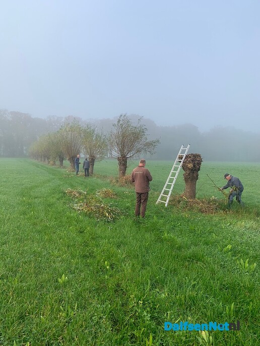 Natuurwerkdag Den Berg