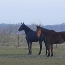 28 april kijk en doe dag bij olde manegepeerd.