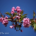 Eindelijk hebben we weer kleur in de natuur!
