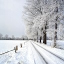 De beste wensen