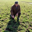 Eerste kievitsei van Overijssel gevonden! Niet in Dalfsen Eerste kievitsei van Overijssel gevonden! Niet in Dalfsen