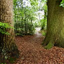 Bericht voor Dalfsenaren die eens in Wezep willen wandelen