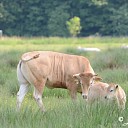 Mooie zomerse dagen!